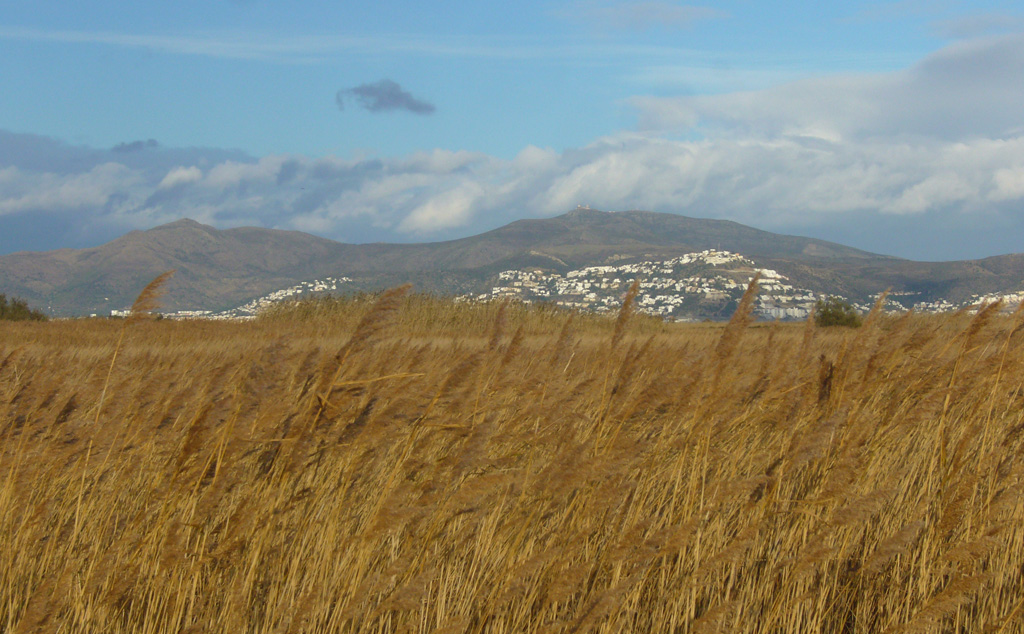 Canvi climàtic al Montgrí, les Medes i el Baix Ter