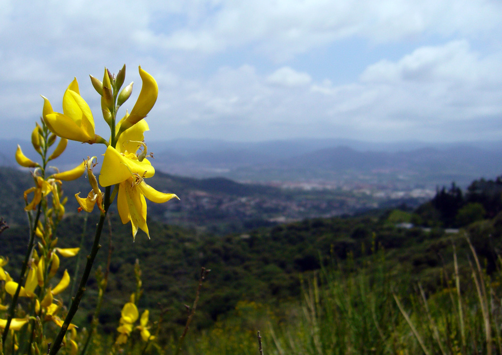 Seminaris d'ecologia a la UB