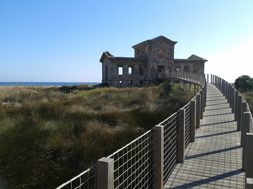 Observació d'anellament d'ocells