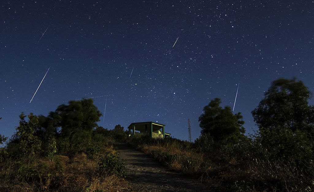 Sortida d'observació de les Gemínides