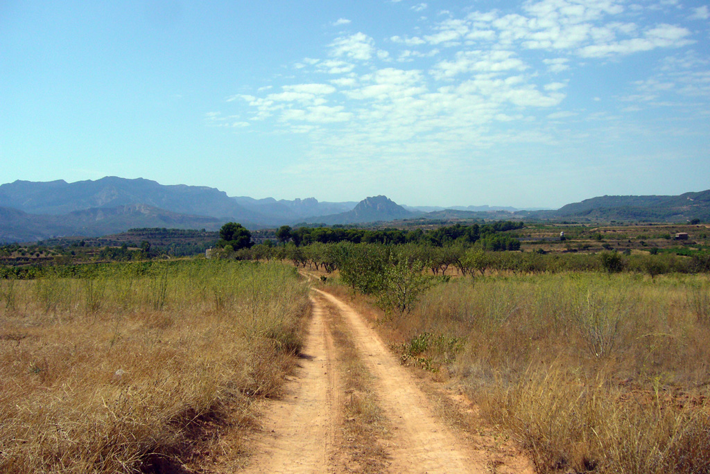 La natura del sud de Catalunya