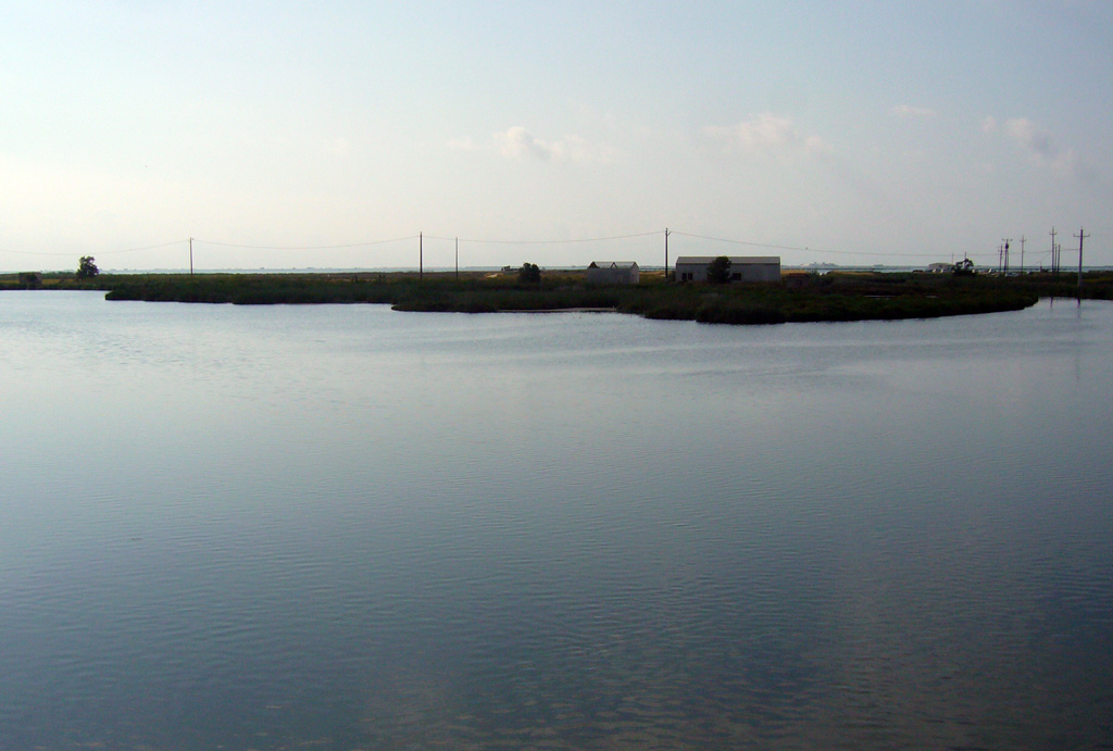 Dia de les Zones Humides al Delta de l'Ebre