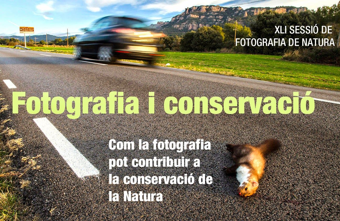 Fotografia i conservació