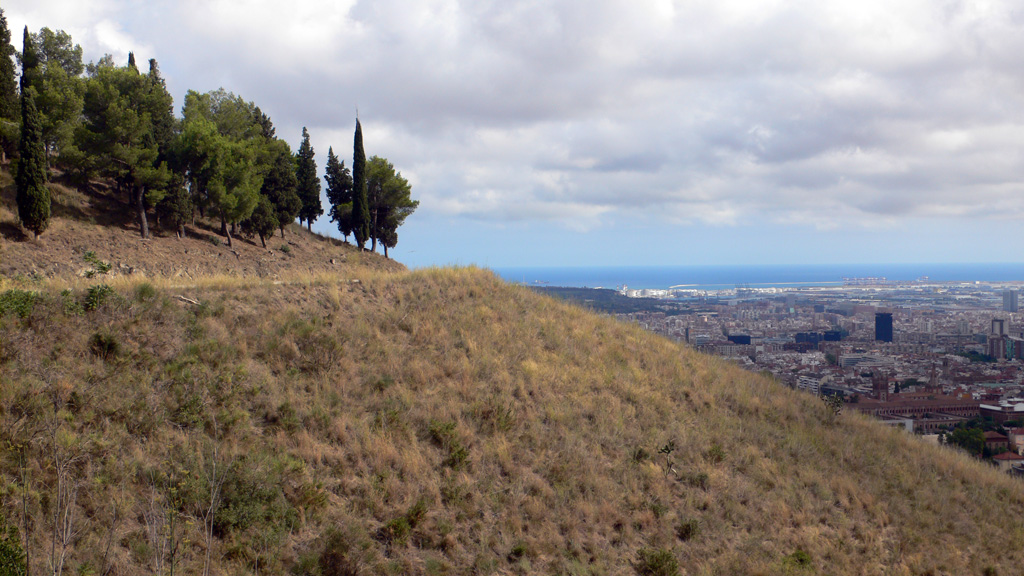 Segona acció forestal a Collserola