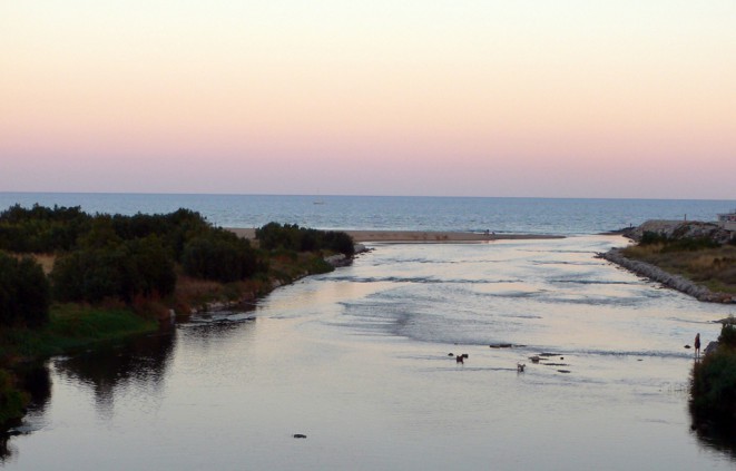 Imatge del riu Besòs