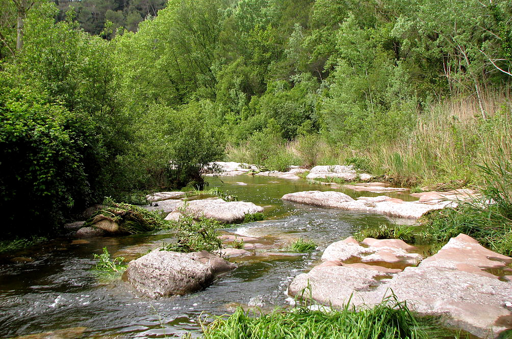 La Tordera, un riu humanitzat