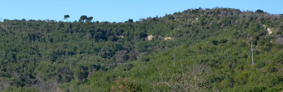 Festa del Medi ambient a Sant Quirze