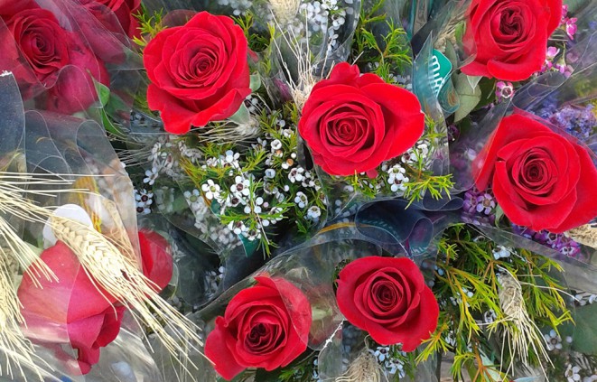 Imatge de roses de Sant Jordi