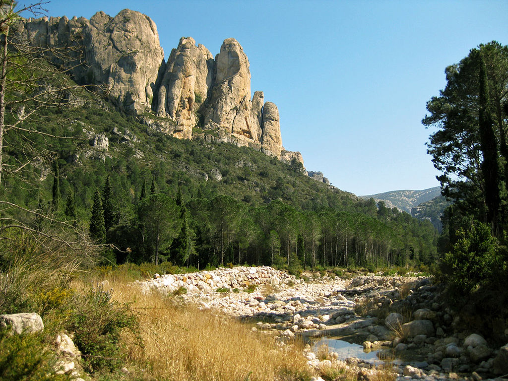 Captura la Biodiversitat