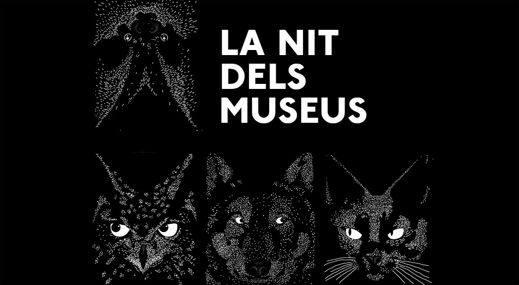 Dia i nit dels museus