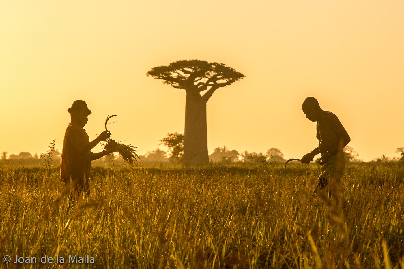 Viatge a Madagascar