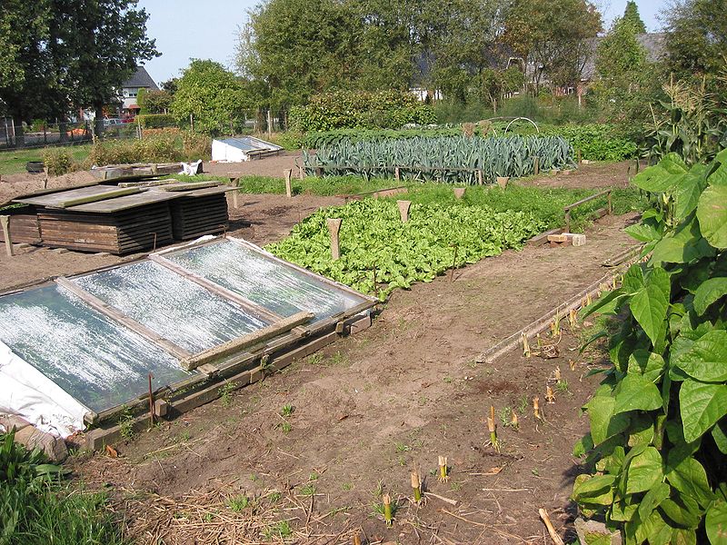 Horticultura urbana