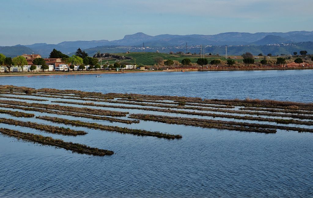 Descobrim el Parc de l'Agulla