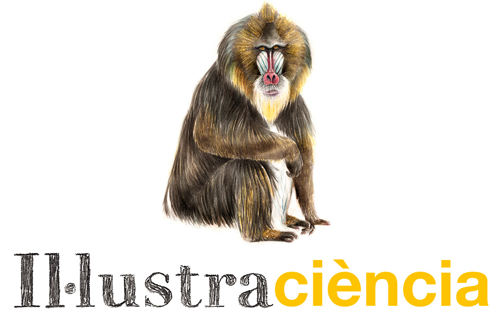 Il·lustraciència