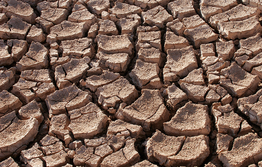 Impactes del canvi climàtic