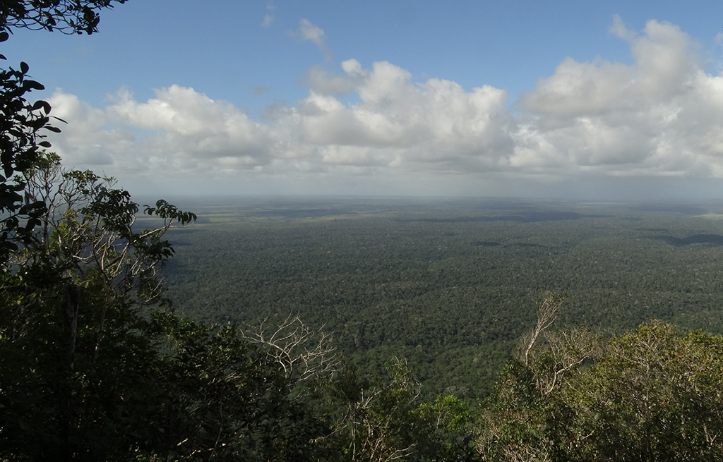 La Mata Atlàntica de Brasil