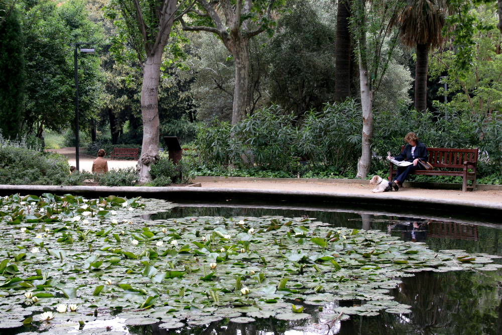 L’art de visitar el Turó Park