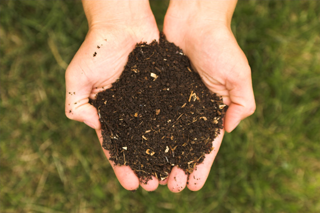 Trobada Hortícola: Compostadors a casa