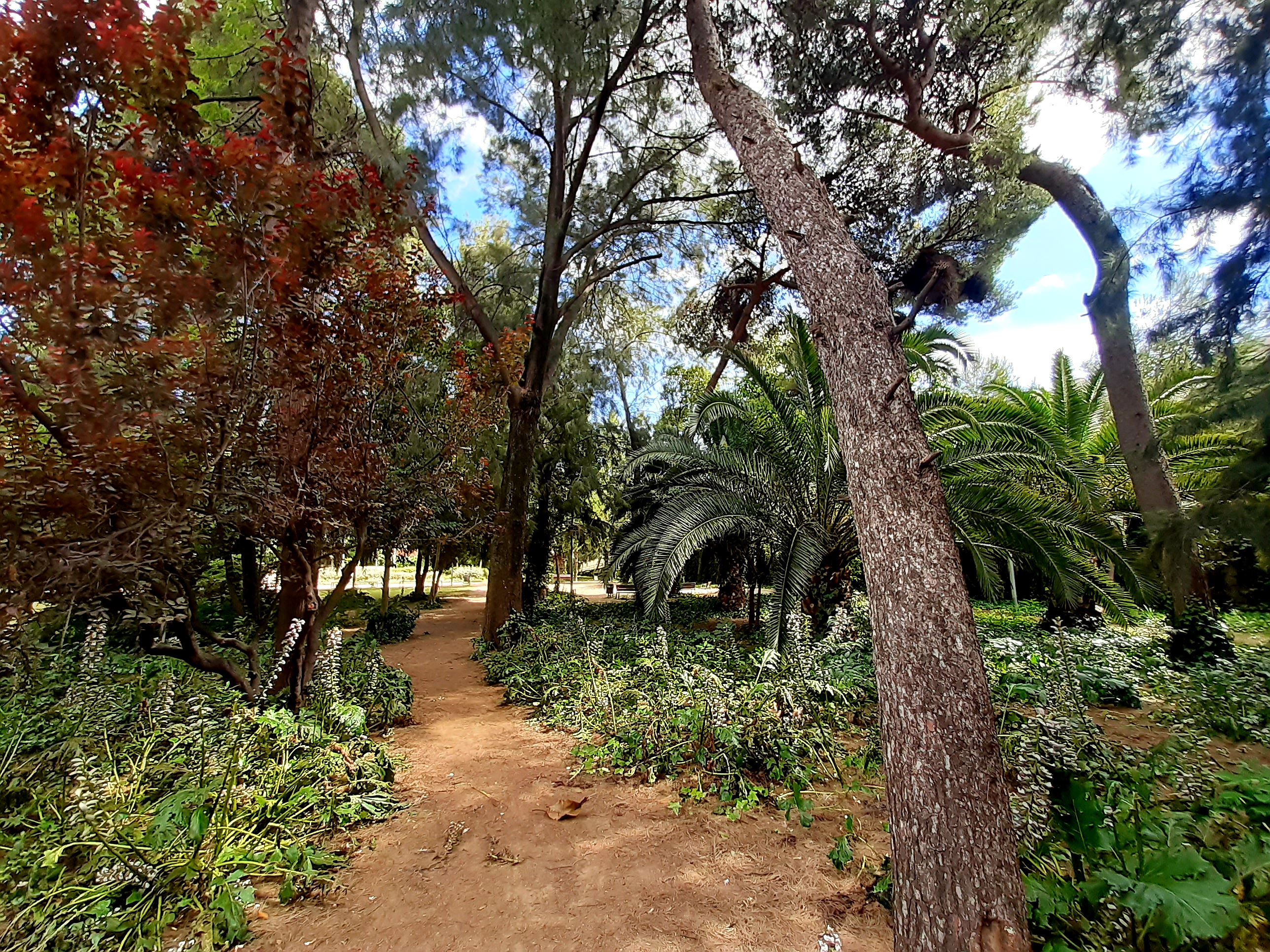 Deixa't seduir per la natura