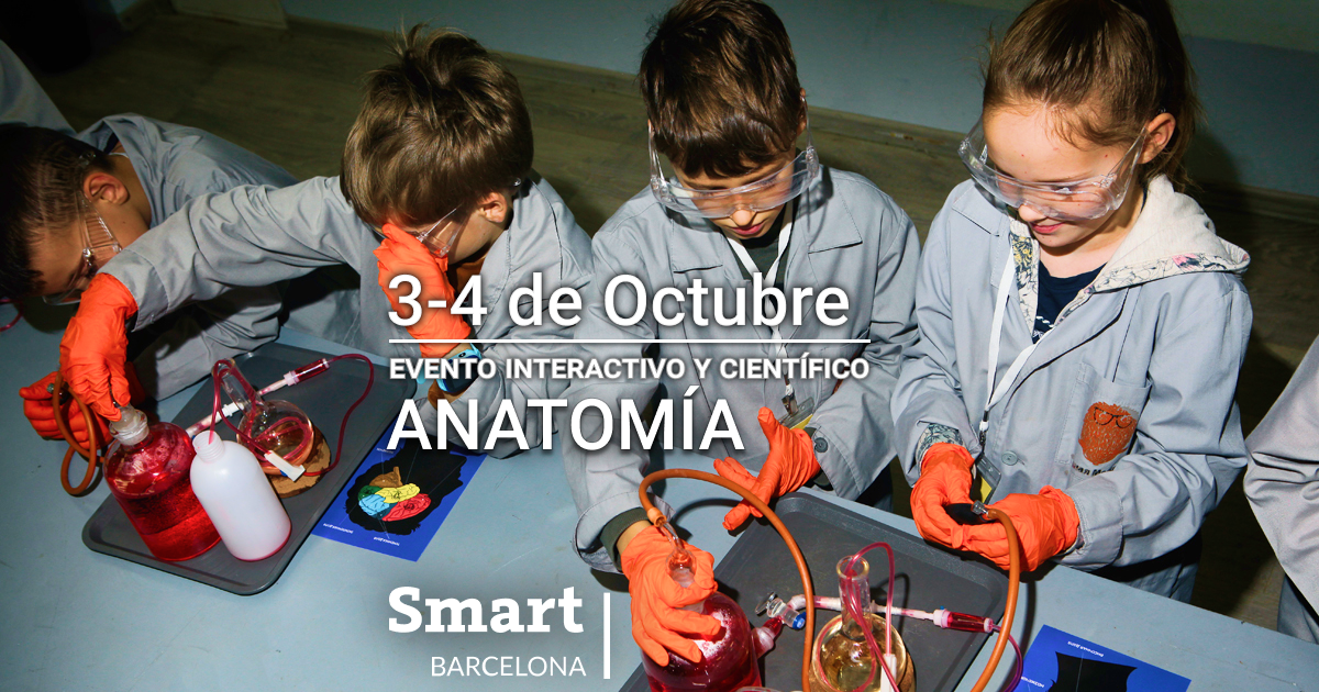 Taller Smart Barcelona: Anatomia