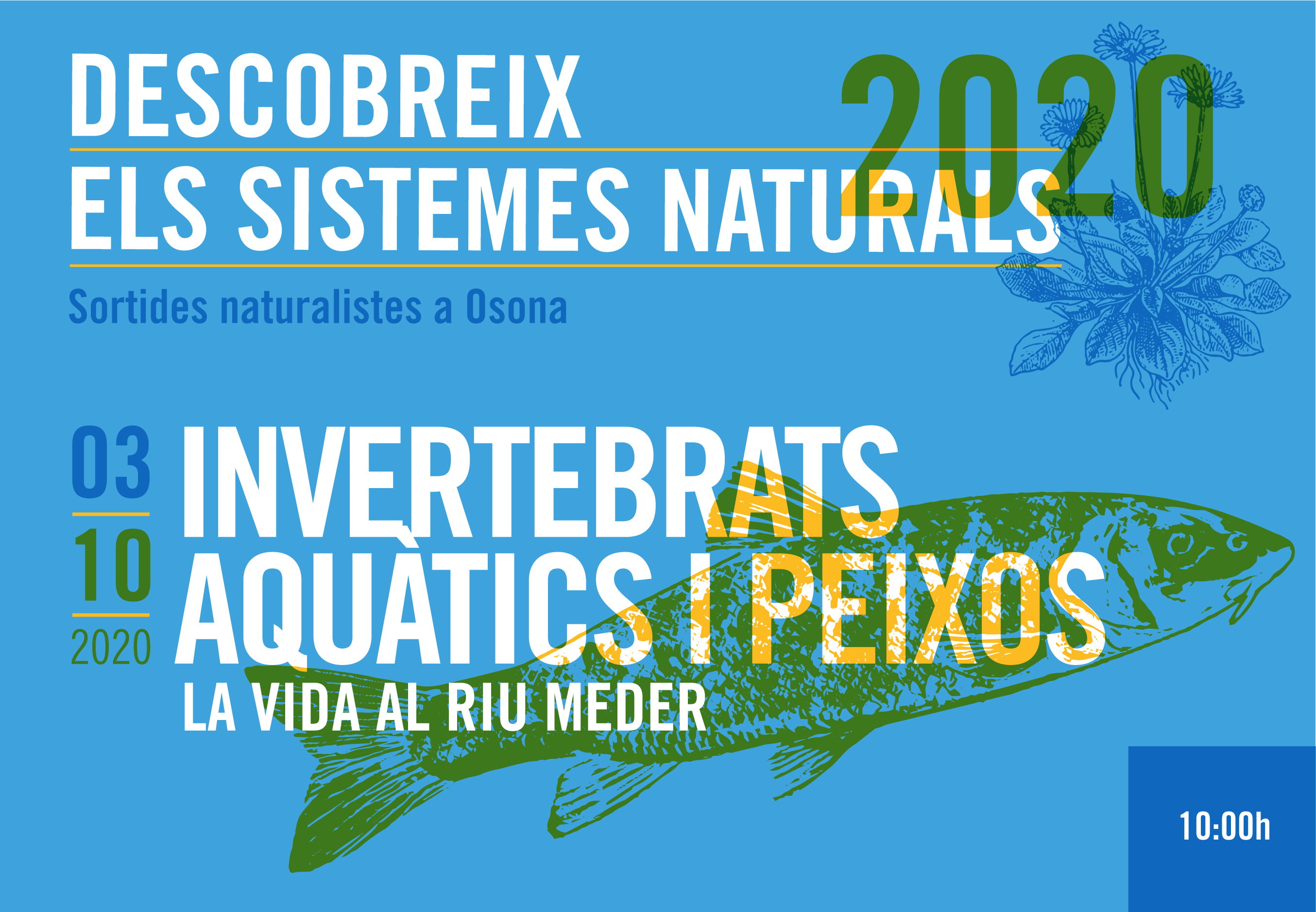 Invertebrats aquàtics i peixos, la vida del riu Méder