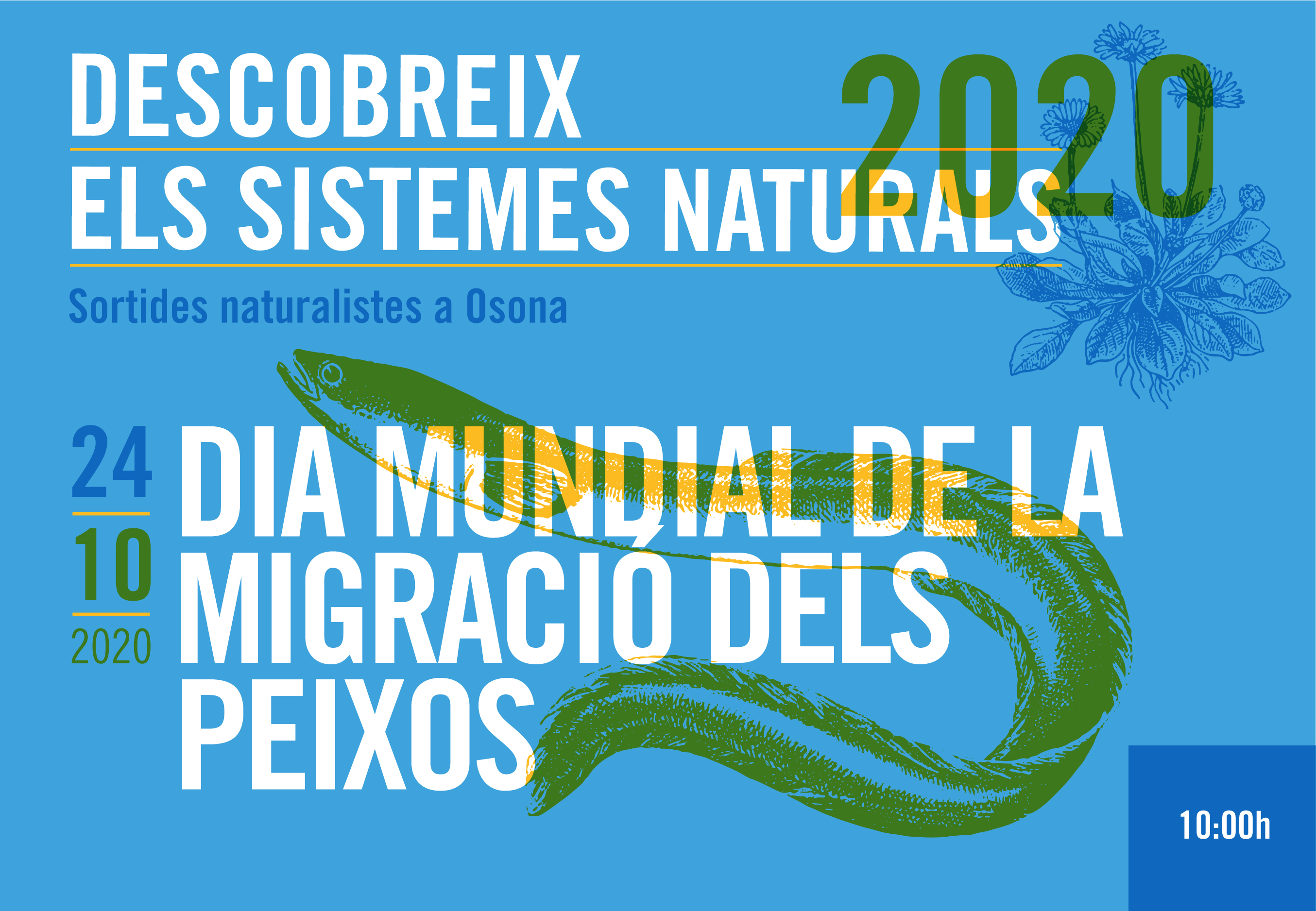 Dia Mundial de la Migració dels Peixos