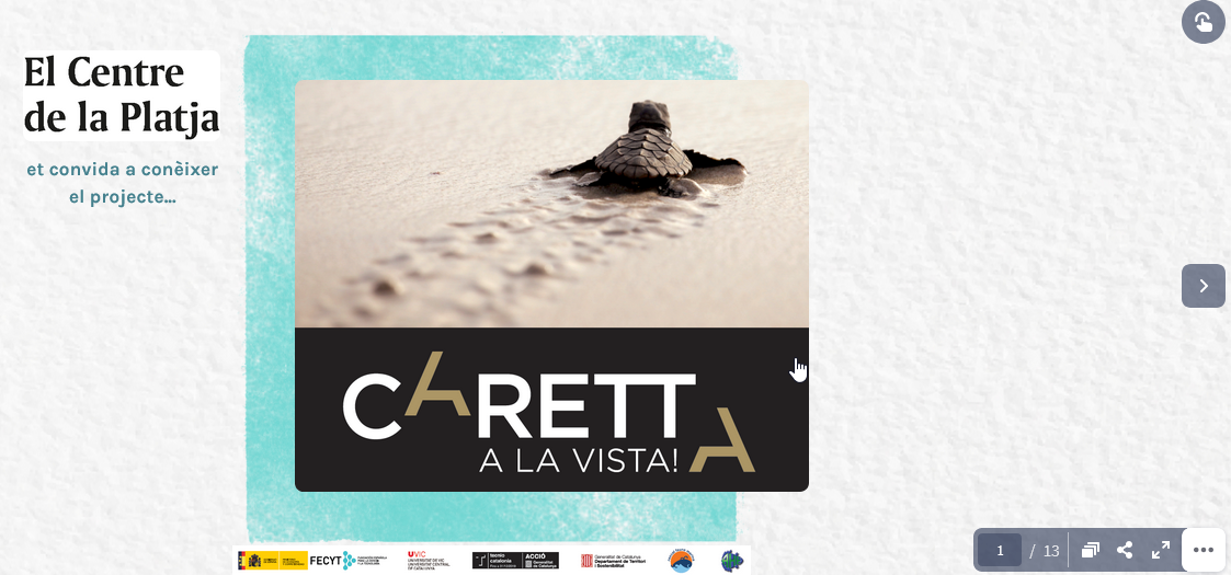 Exposició virtual interactiva “Caretta a la vista”