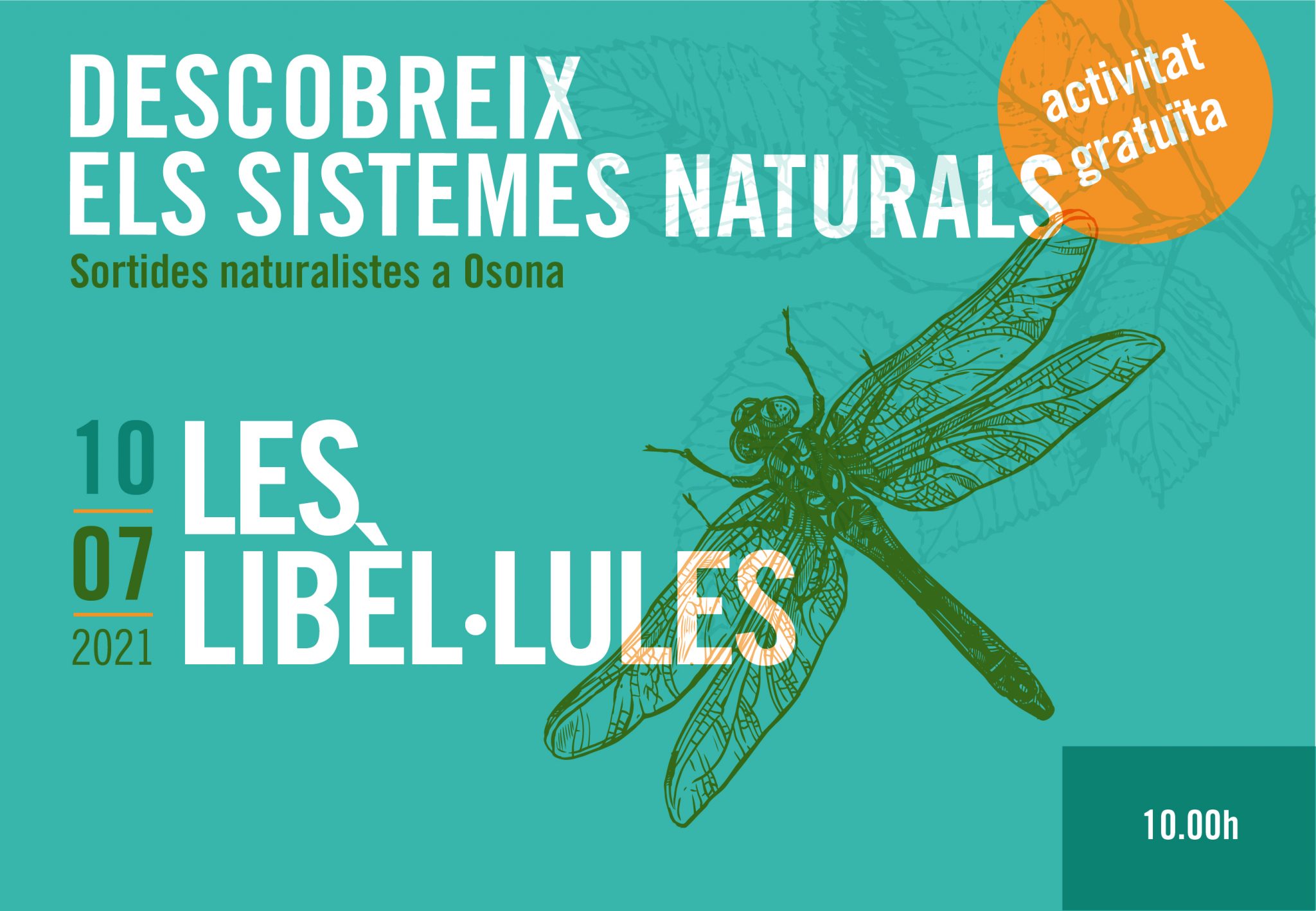 Sortides naturalistes a Osona. Les libèl·lules.