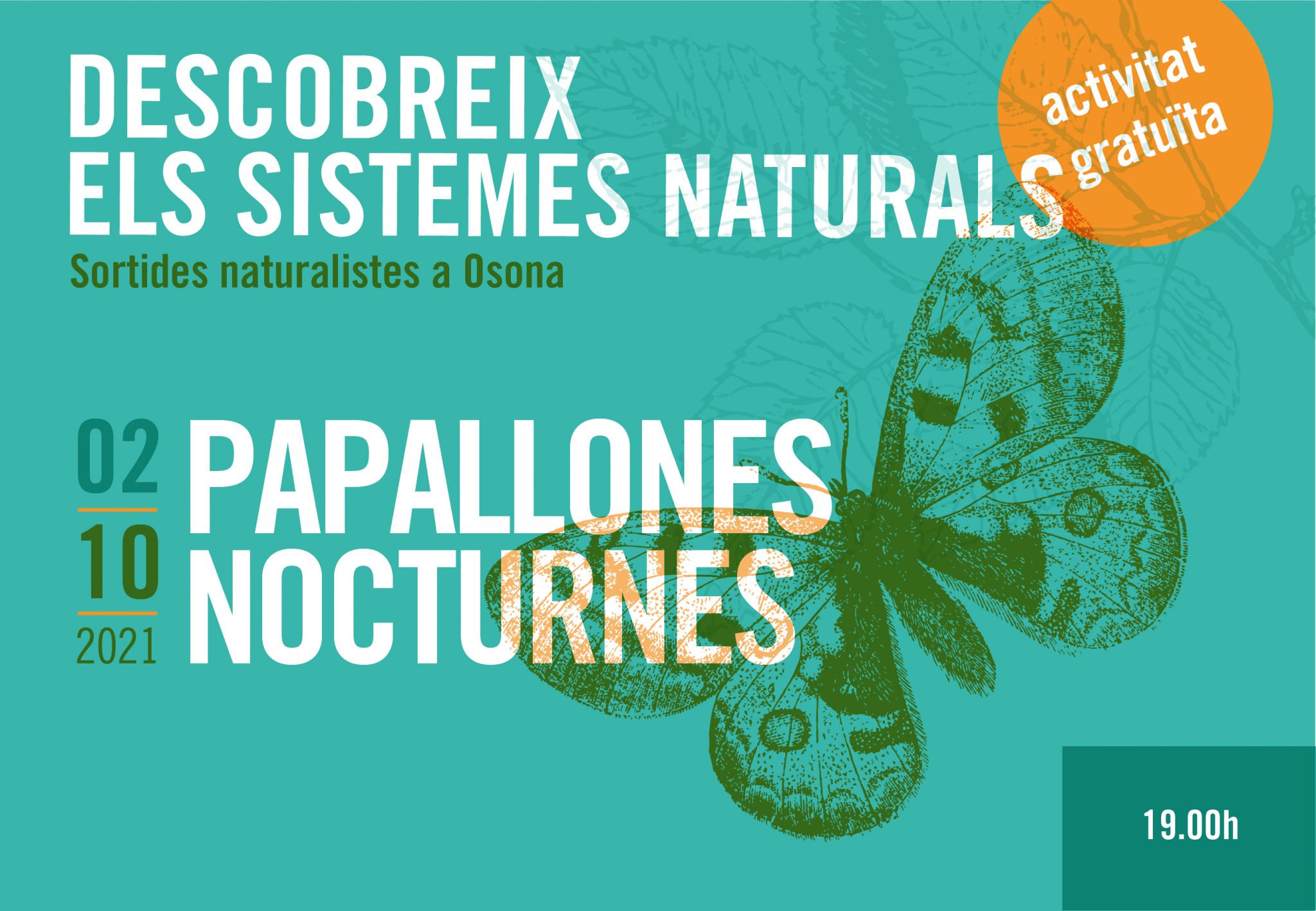 Sortides naturalistes a Osona. Papallones nocturnes