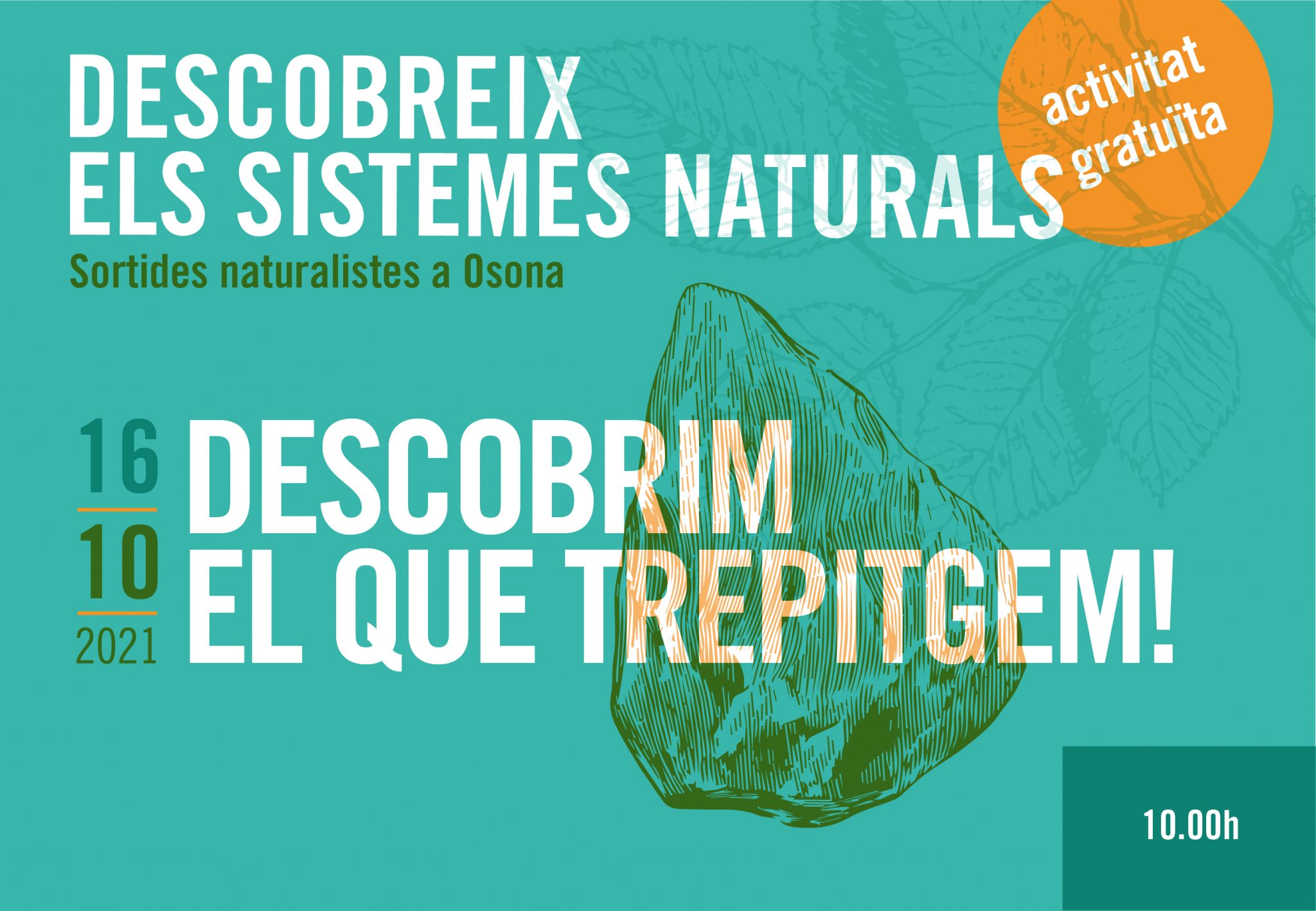 Sortides naturalistes a Osona. Descobrim el que trepitgem!