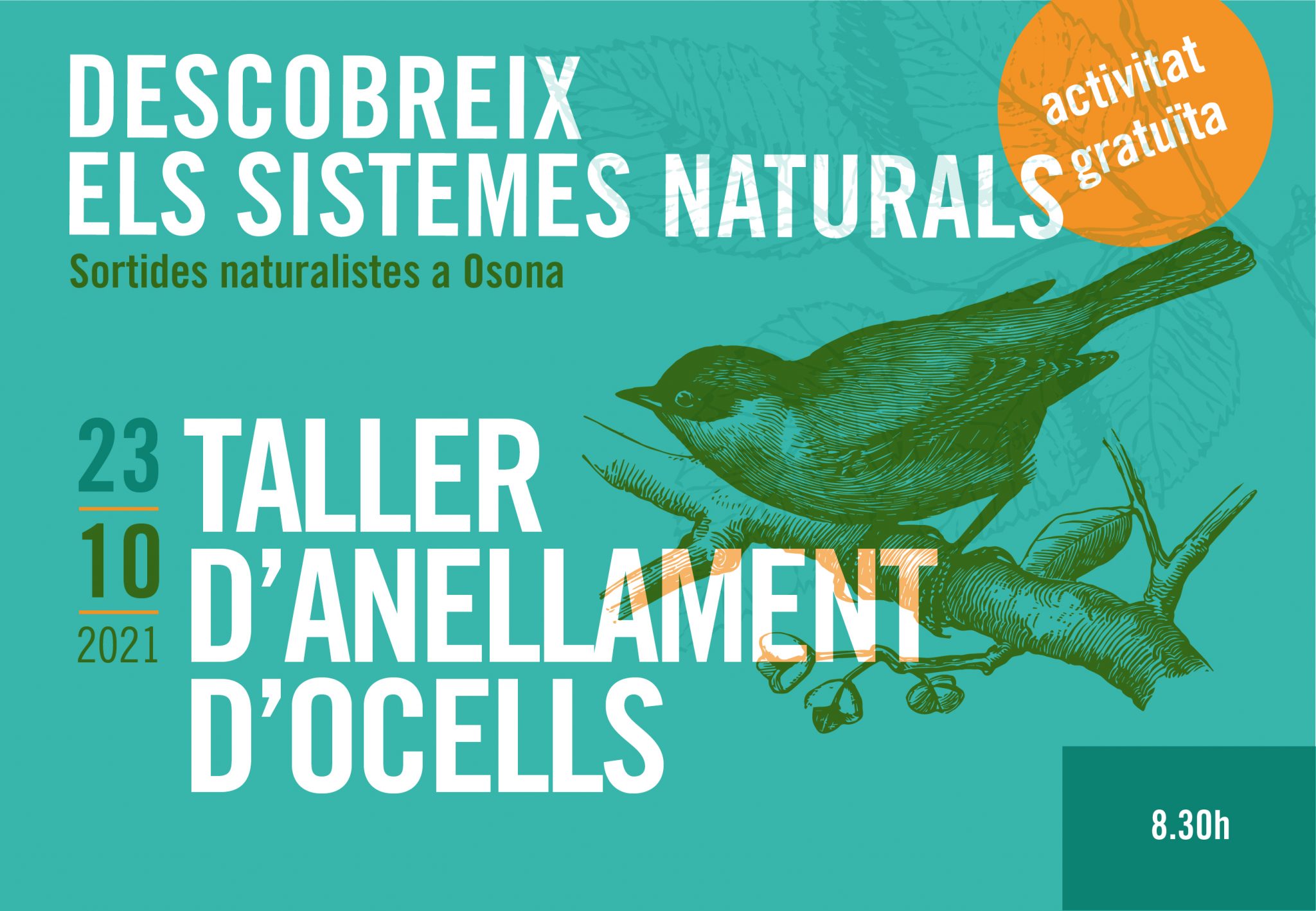 Sortides naturalistes a Osona. Taller d’anellament d’ocells