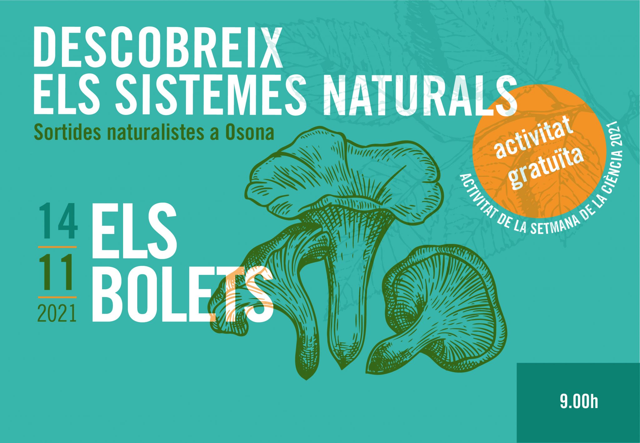 Sortides naturalistes a Osona: Els bolets