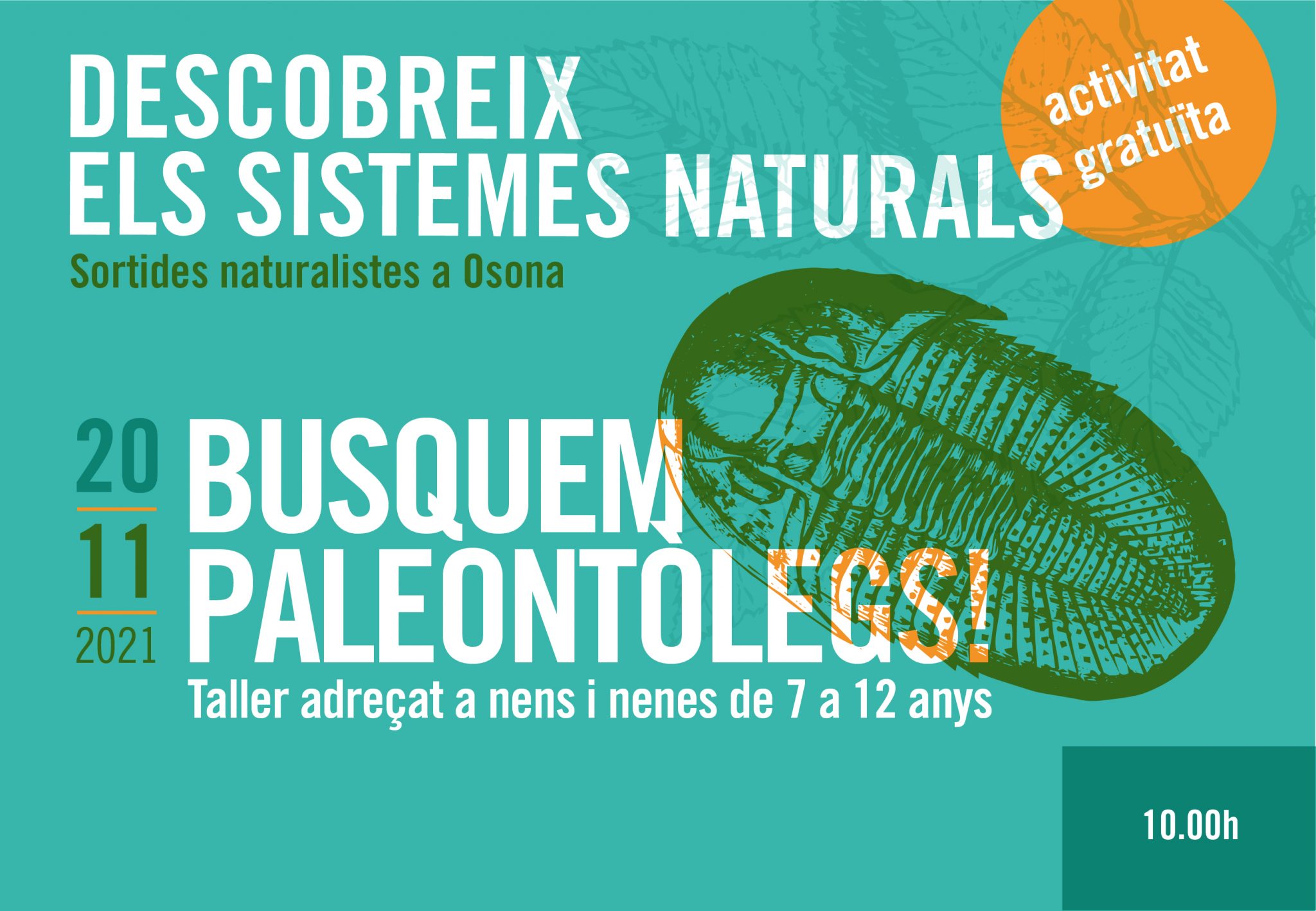 Sortides naturalistes a Osona. Busquem paleontòlegs!