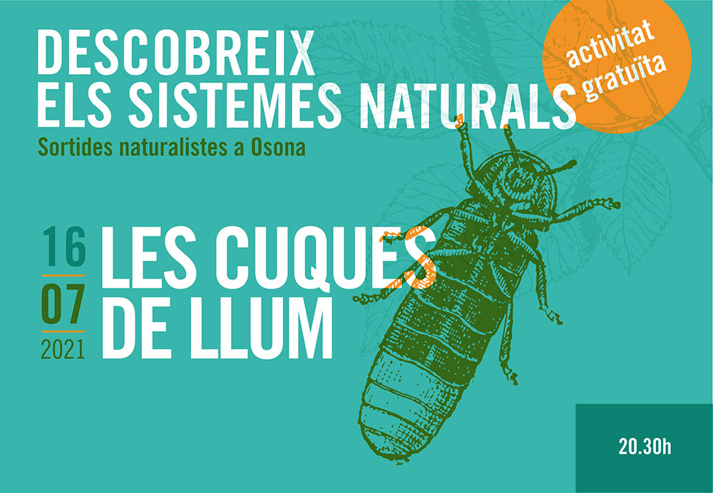 Sortides naturalistes a Osona. Les Cuques de llum