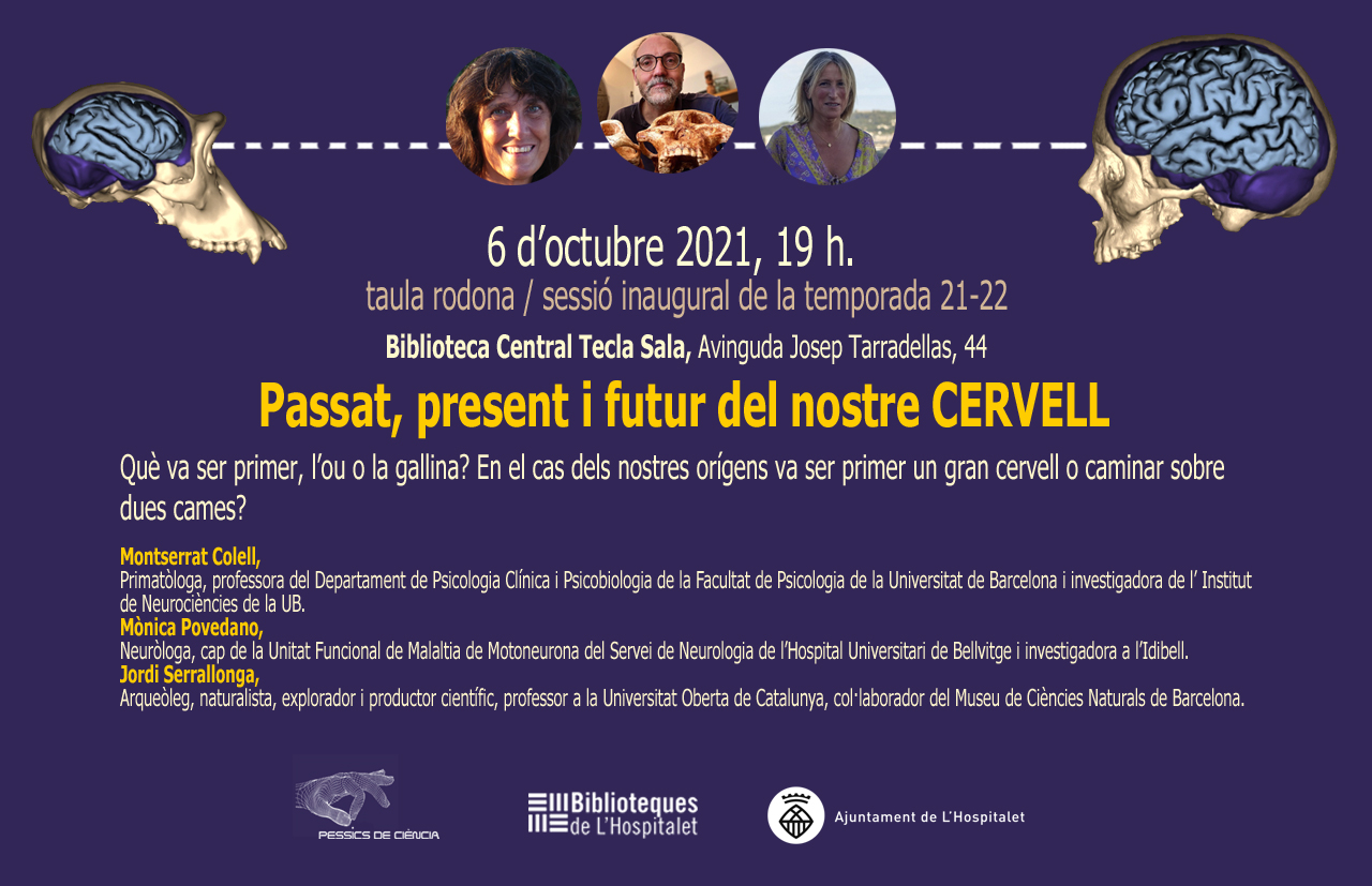 Passat, present i futur del nostre CERVELL