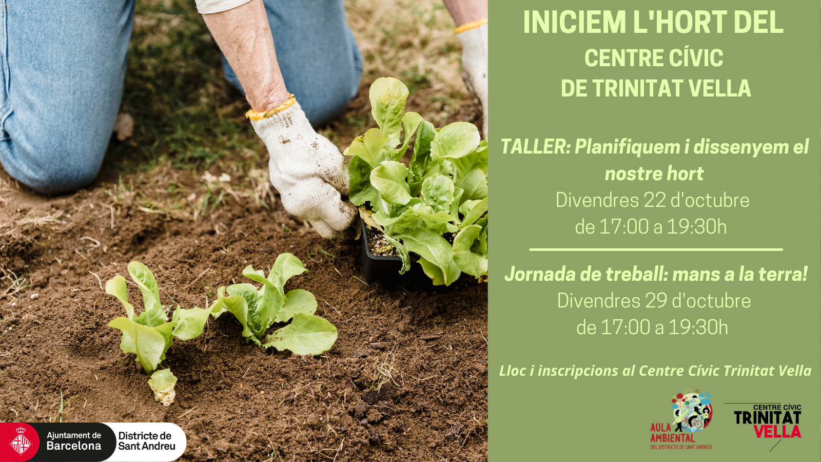 Taller: Planifiquem i dissenyem el nostre hort