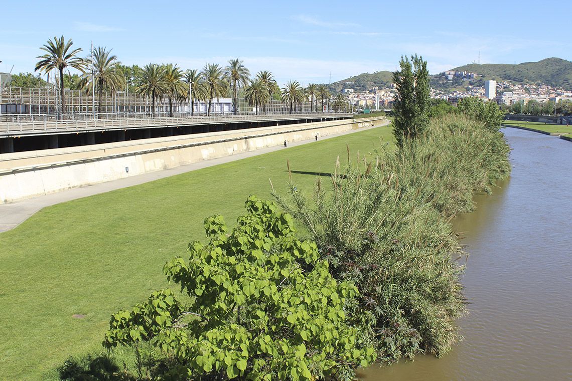 Visita al Parc Fluvial del Besòs