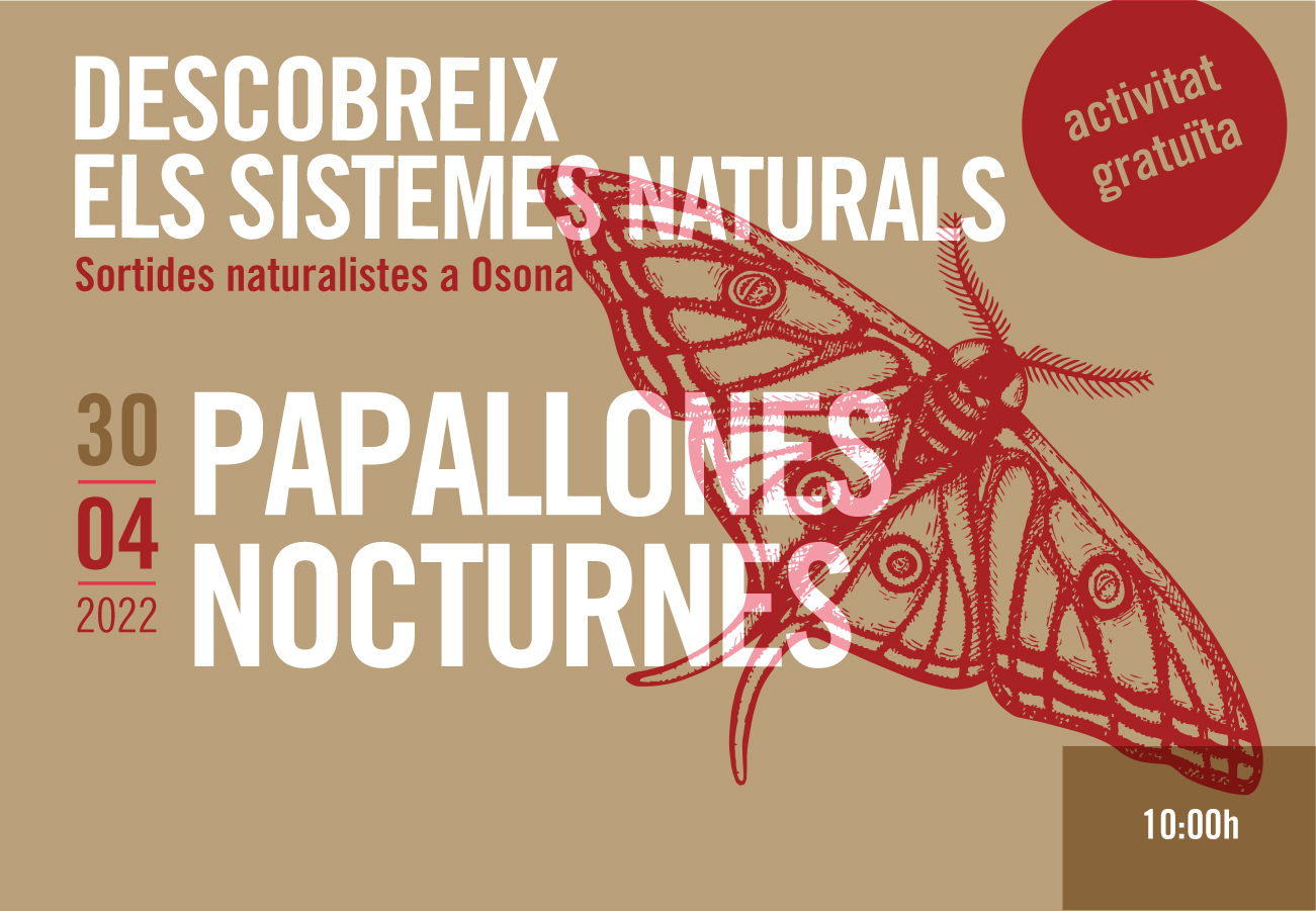 Papallones nocturnes. Sortides naturalistes a Osona 2022