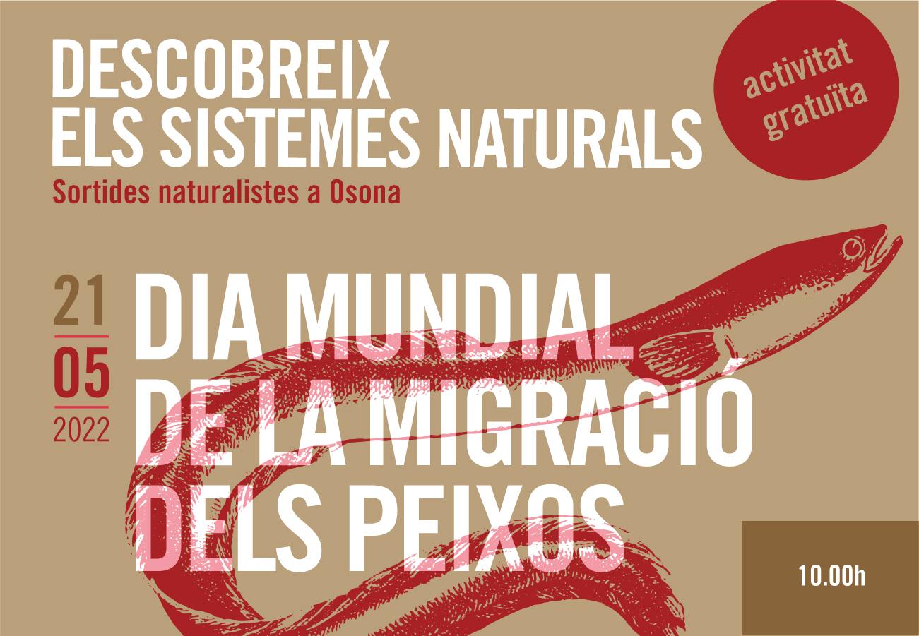 Dia mundial de la migració dels peixos