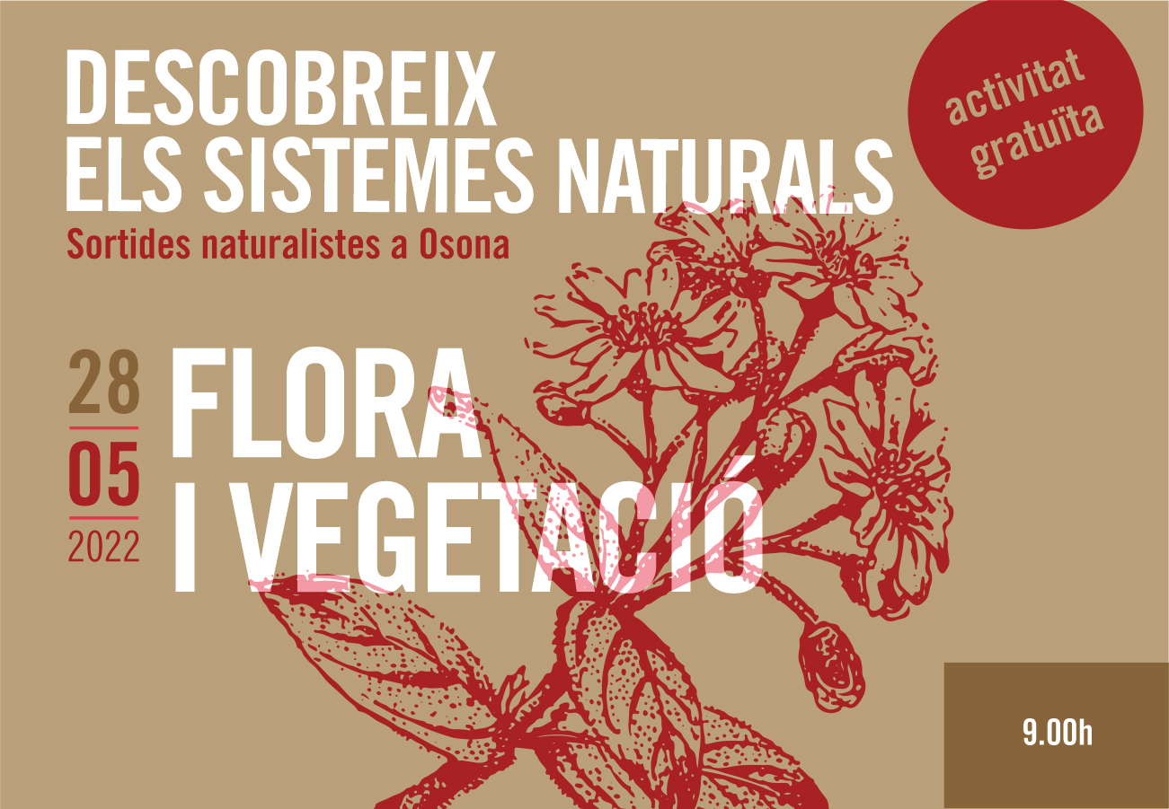 Flora i vegetació. Sortides naturalistes a Osona 2022