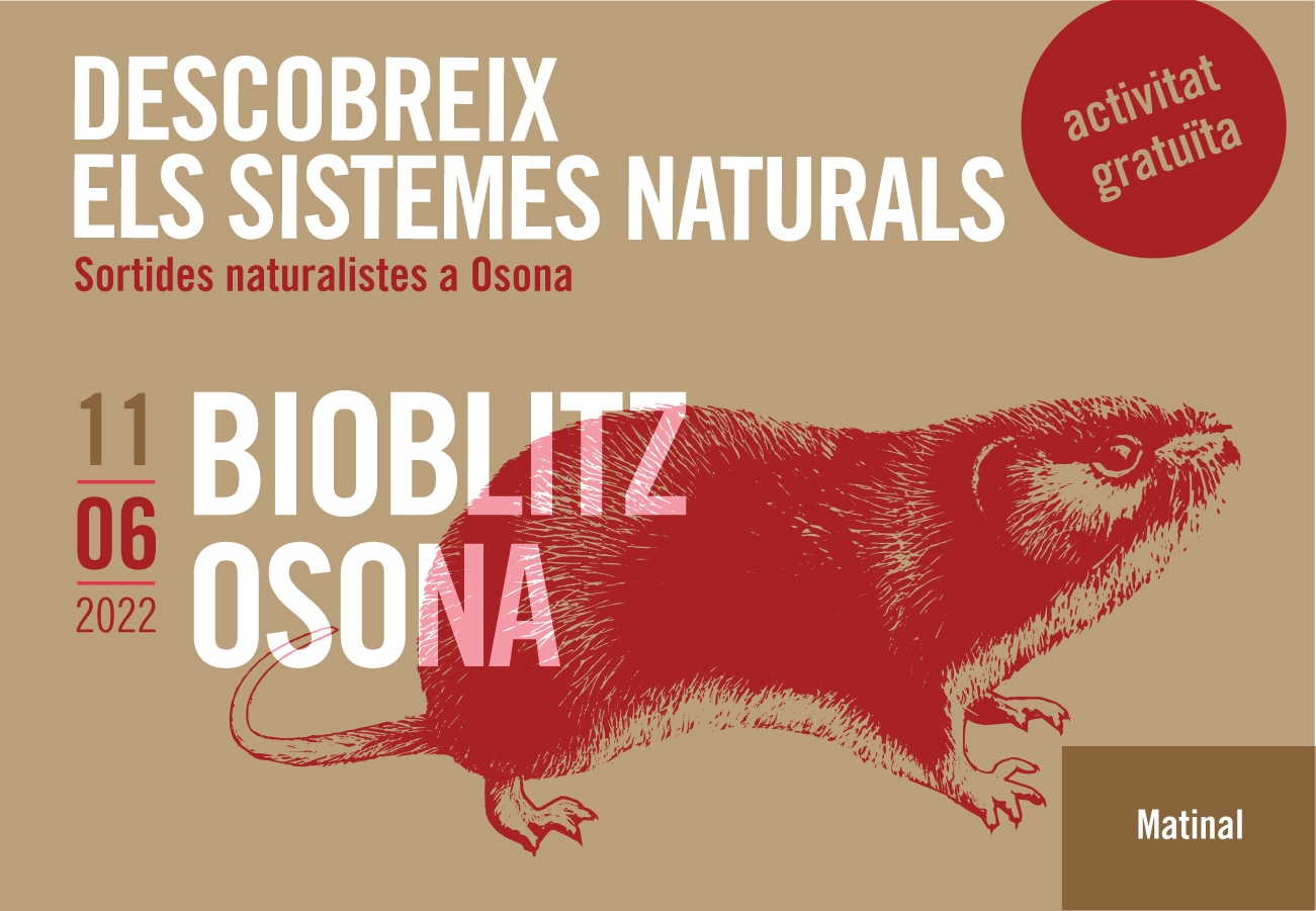 Bioblitz Osona. Sortides naturalistes Osona 2022