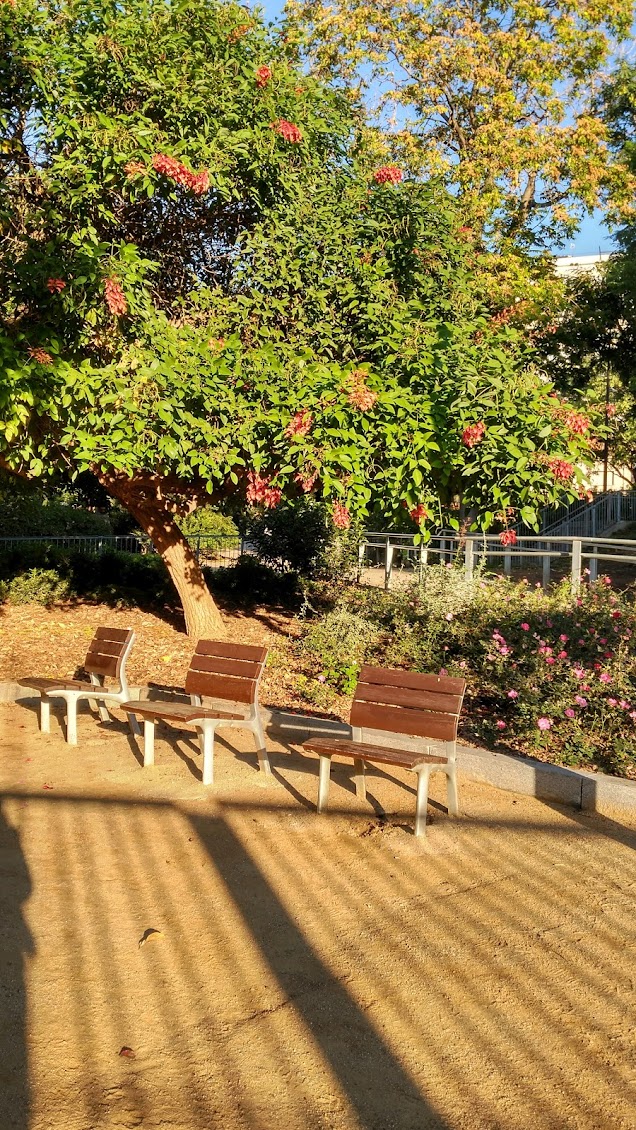 Caminant per la natura a la ciutat: els jardins de butxaca del barri de Gràcia