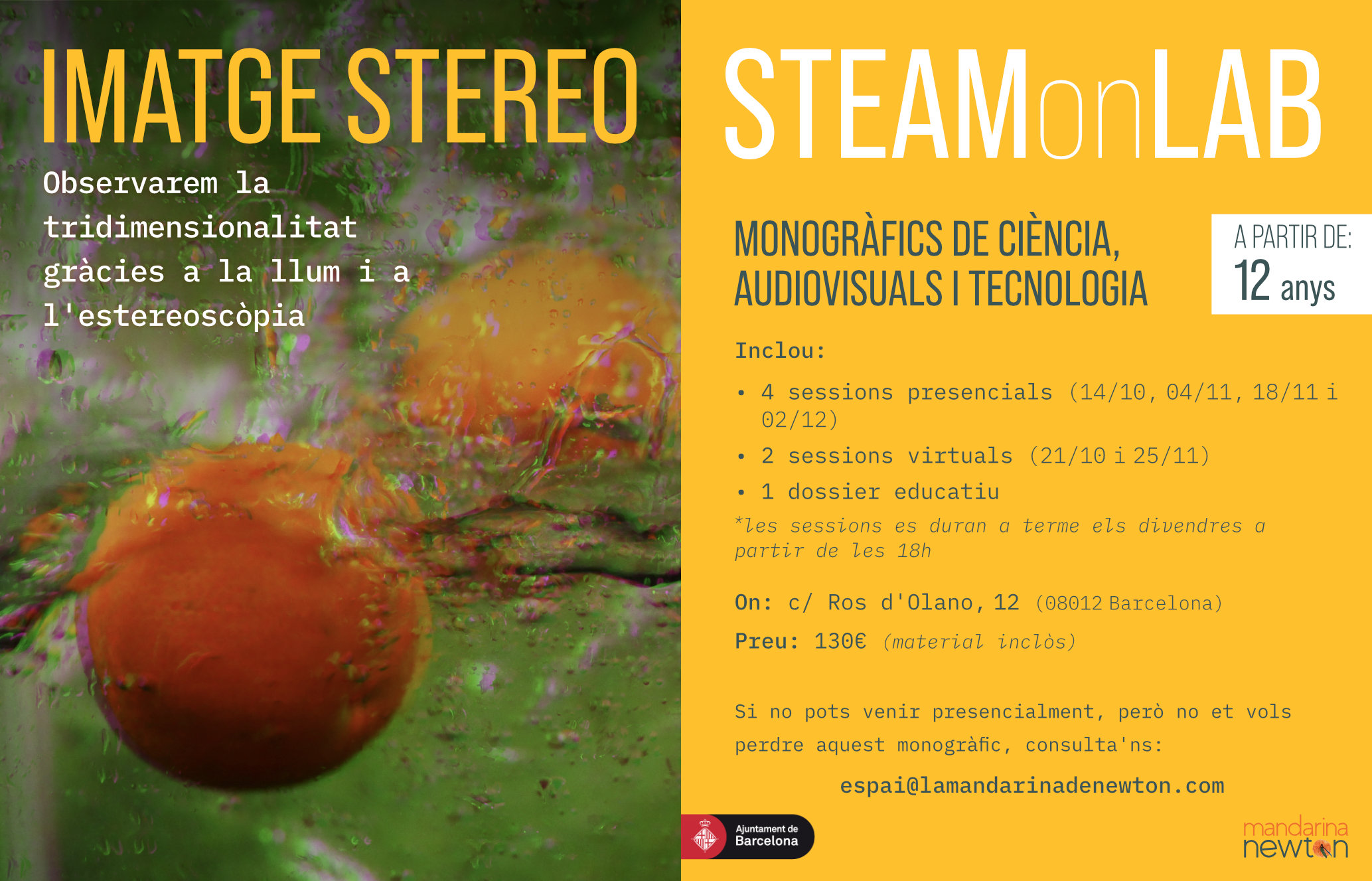 STEAMonLAB | 'IMATGE STEREO'