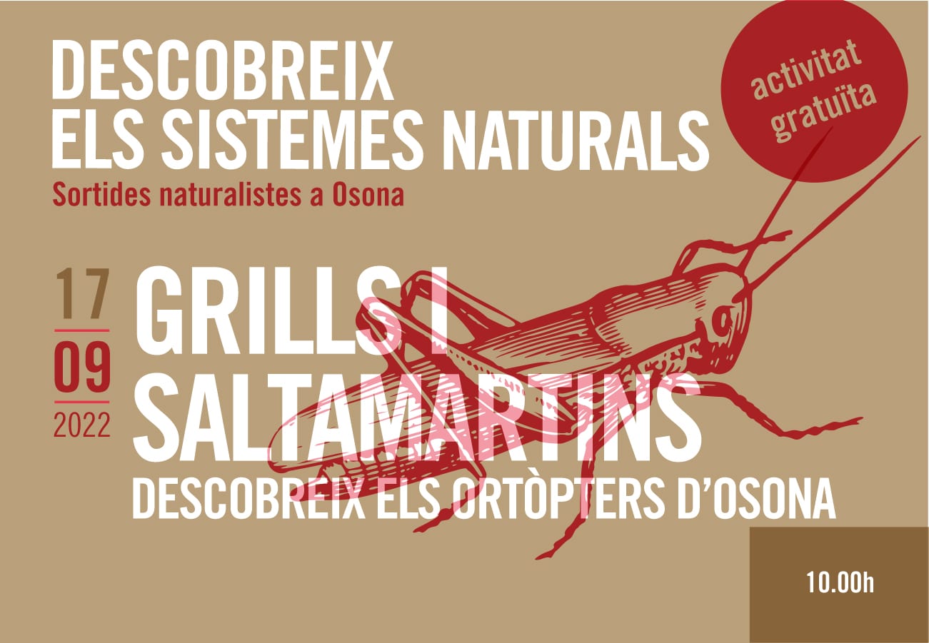 Grills i saltamartins. Sortides naturalistes a Osona 2022