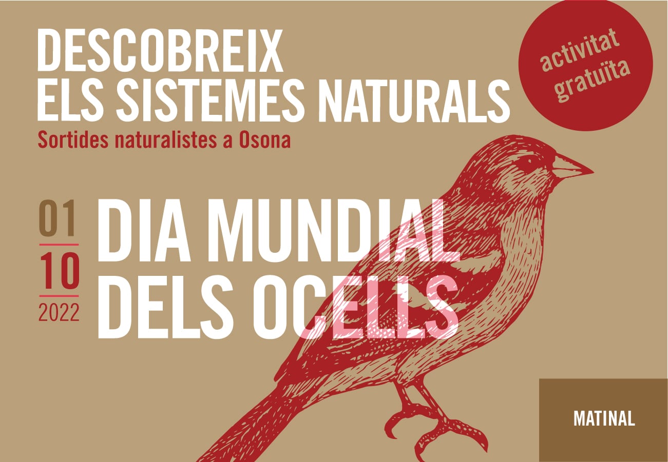 Dia mundial dels ocells. Sortides naturalistes a Osona 2022