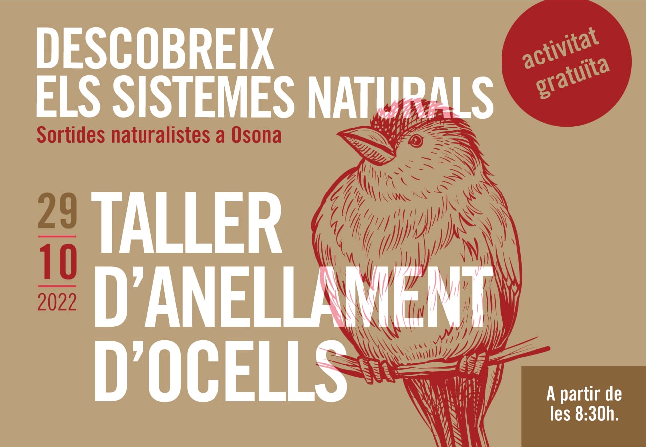 Taller d'anellament d'ocells. Sortides naturalistes a Osona 2022