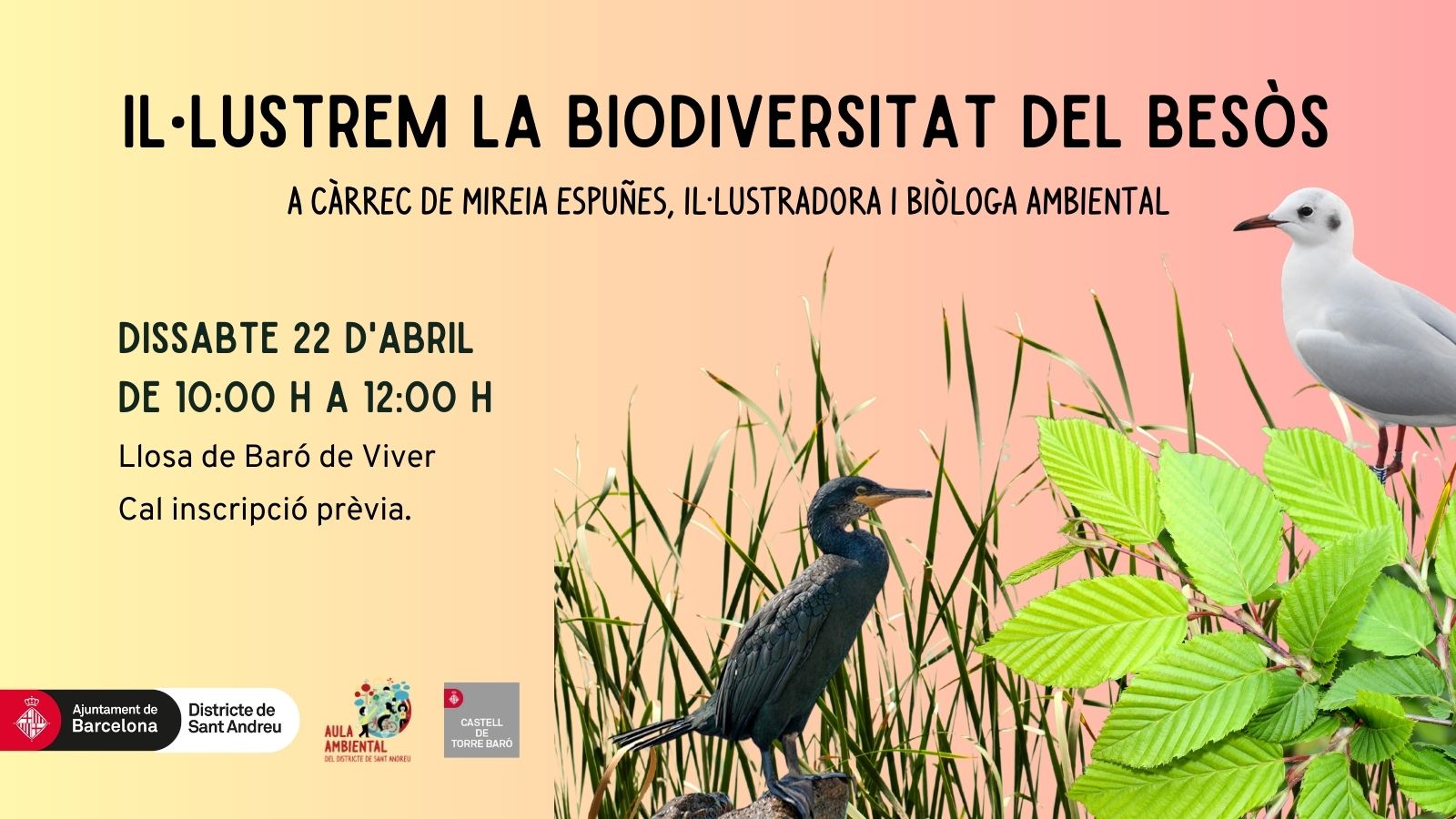 Il·lustrem la biodiversitat del Besòs