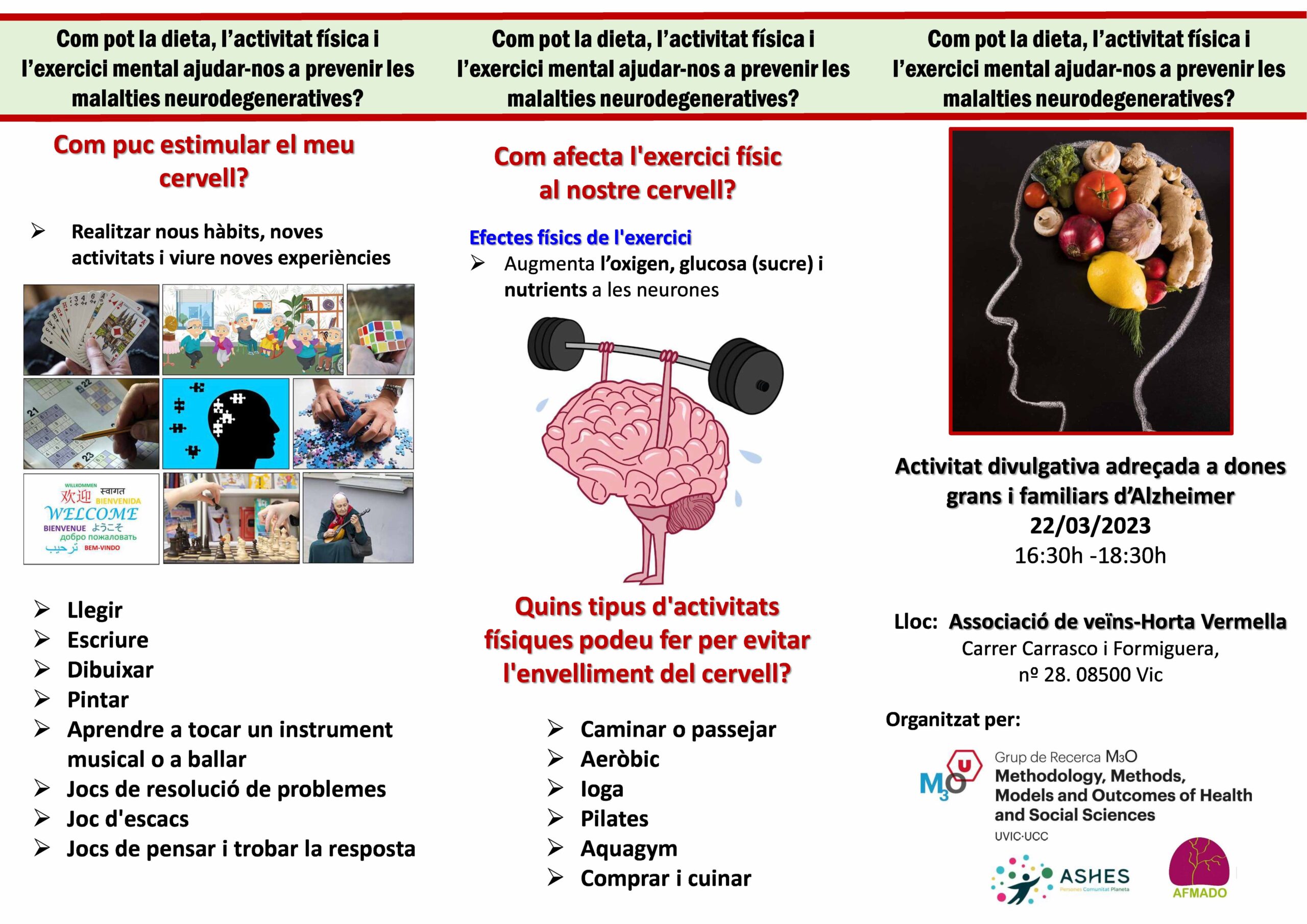 Com pot la dieta, l’activitat física i l’exercici mental ajudar-nos a prevenir les malalties neurodegeneratives?