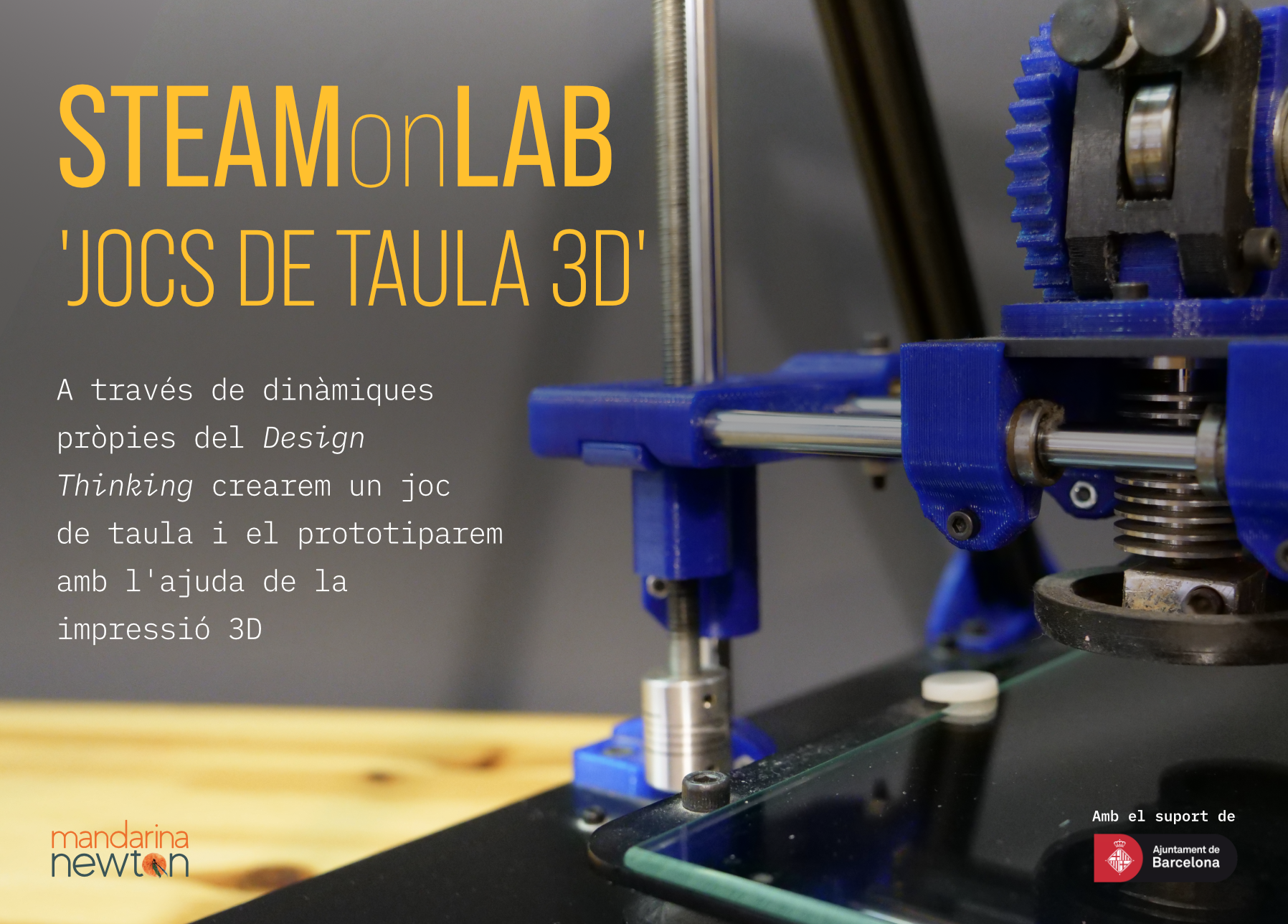 STEAMonLAB | Jocs de taula 3D