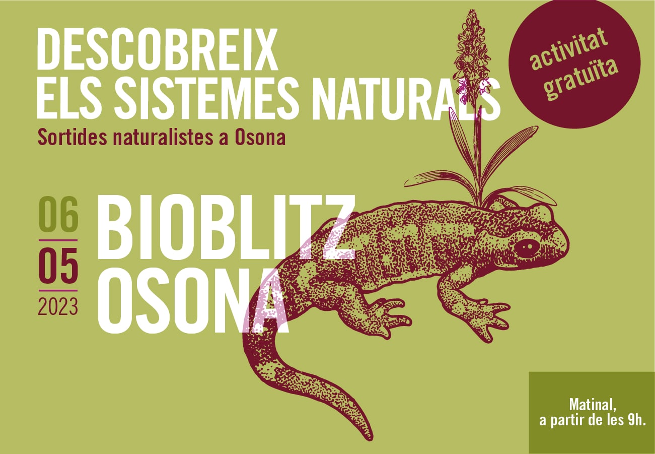 Bioblitz Osona. Sortides naturalistes a Osona 2023